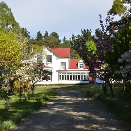 Ashcott Homestead Takapau Exteriör bild