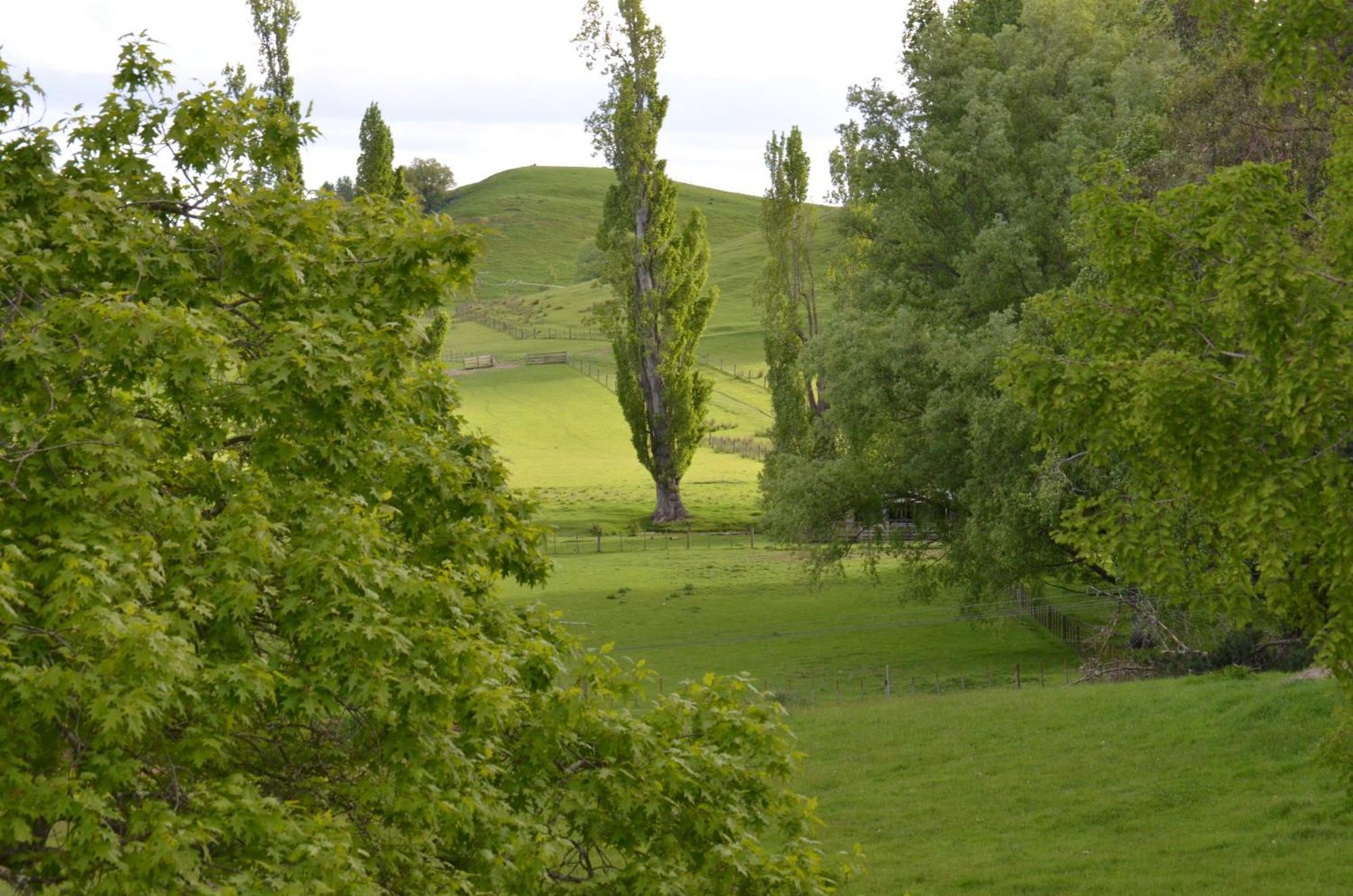 Ashcott Homestead Takapau Exteriör bild